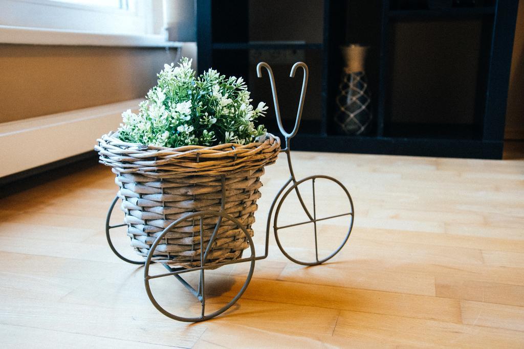 Apartment Zvonarka *